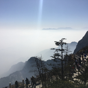 中国老太婆级特黄大片真人的
