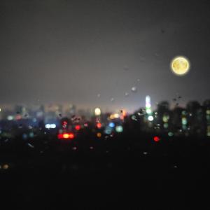 中国老太婆级特黄大片真人的
